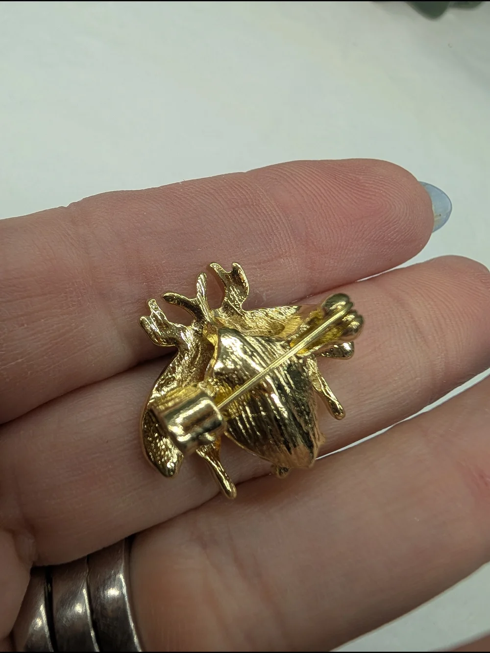 N/A elegant bee